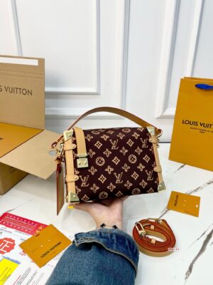 Louis Vuitton (LV) soft case bag with folding airplane case