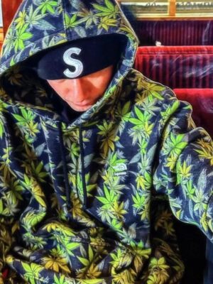 SUPREME TNF Collaboration FW23 THE LEAF HOODED Fallen Leaf Hoodie